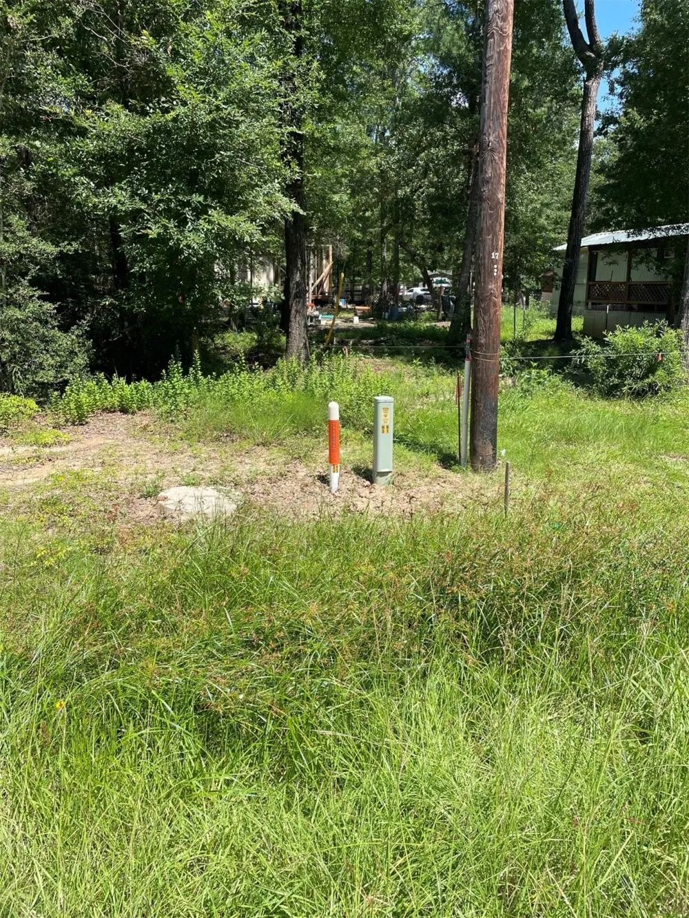 Knottypine Livingston, TX 77351