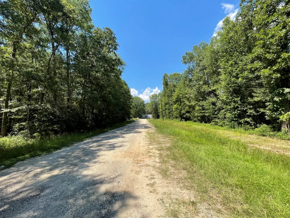 Knottypine Livingston, TX 77351