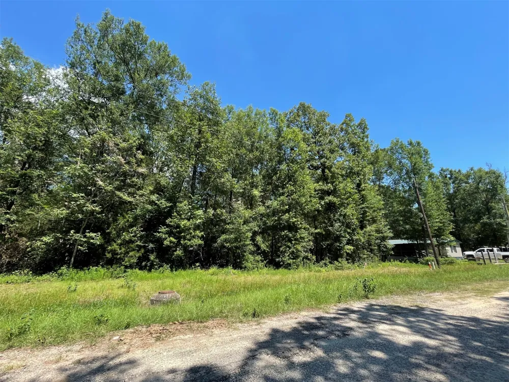Knottypine Livingston, TX 77351