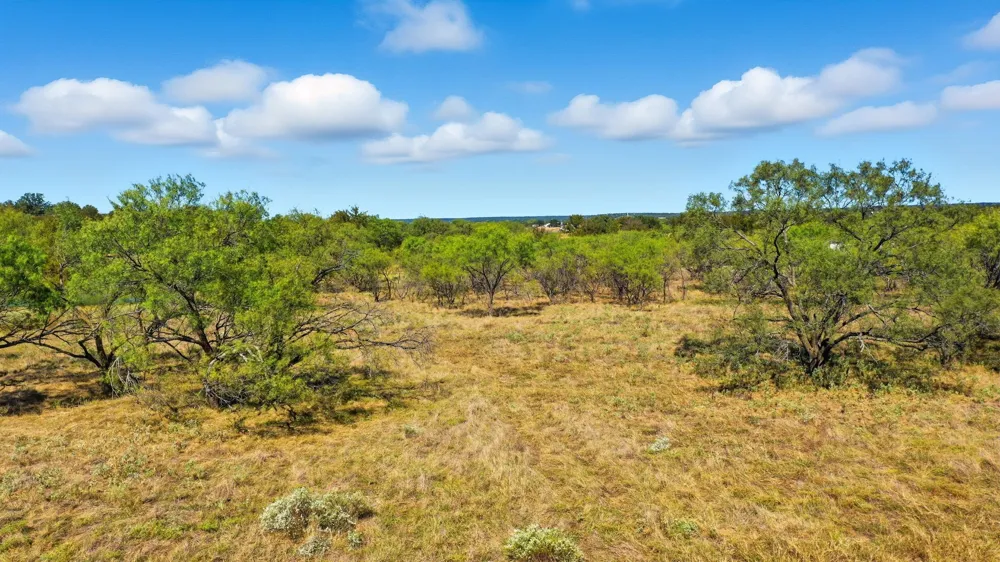S Fm Rd 113 Millsap, TX 76066