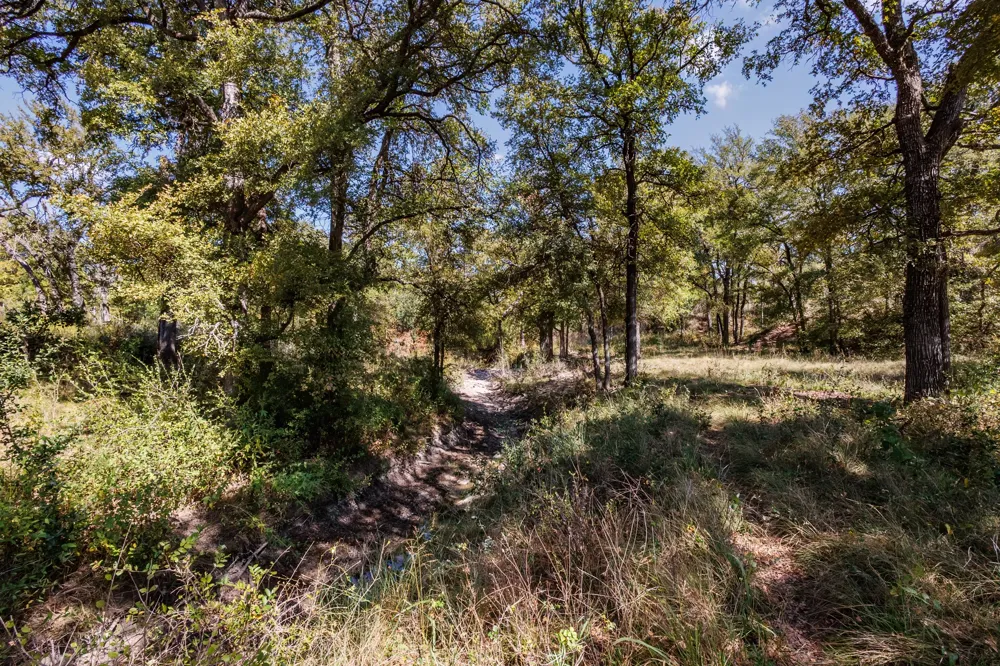 342 Tatanka Trail Gustine, TX 76455