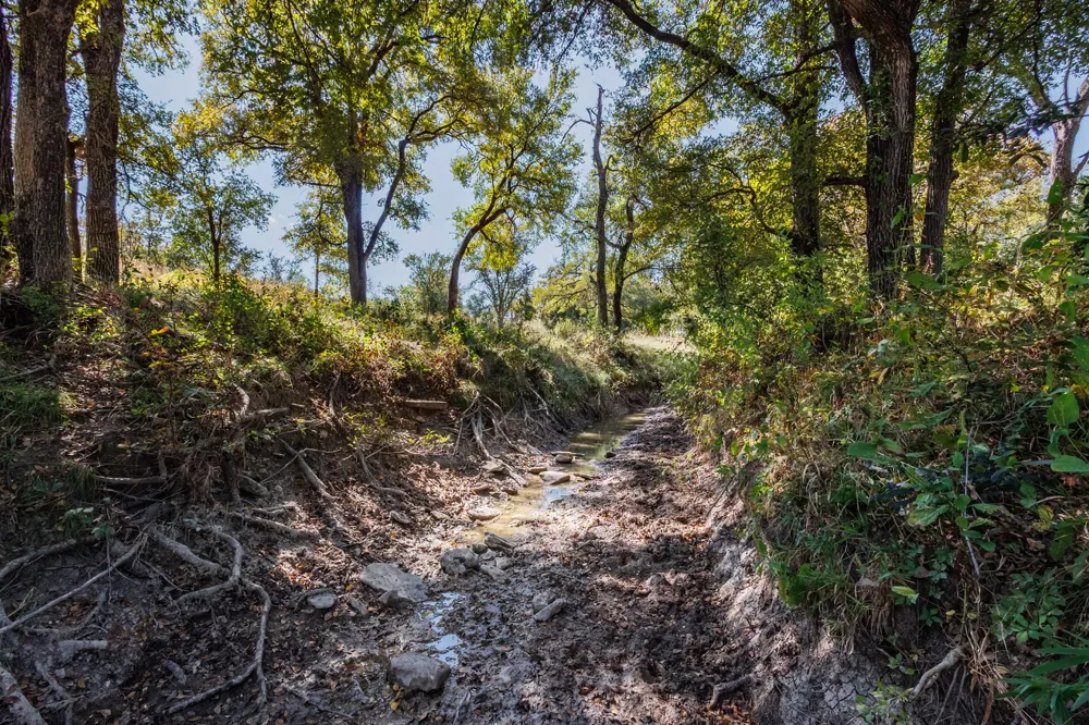 342 Tatanka Trail Gustine, TX 76455