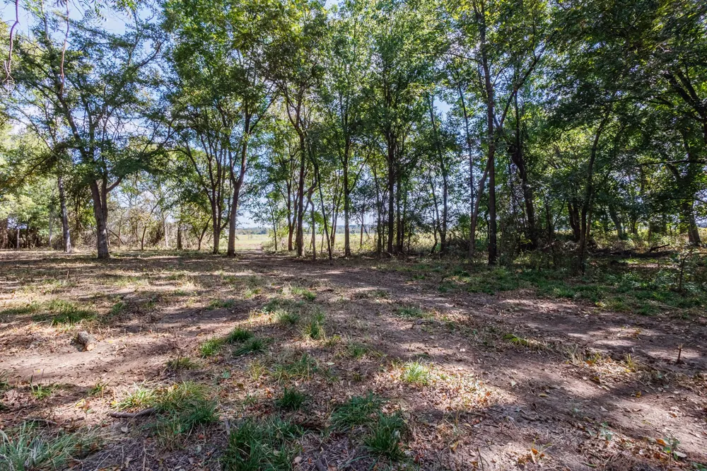 342 Tatanka Trail Gustine, TX 76455