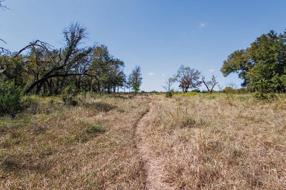 342 Tatanka Trail Gustine, TX 76455