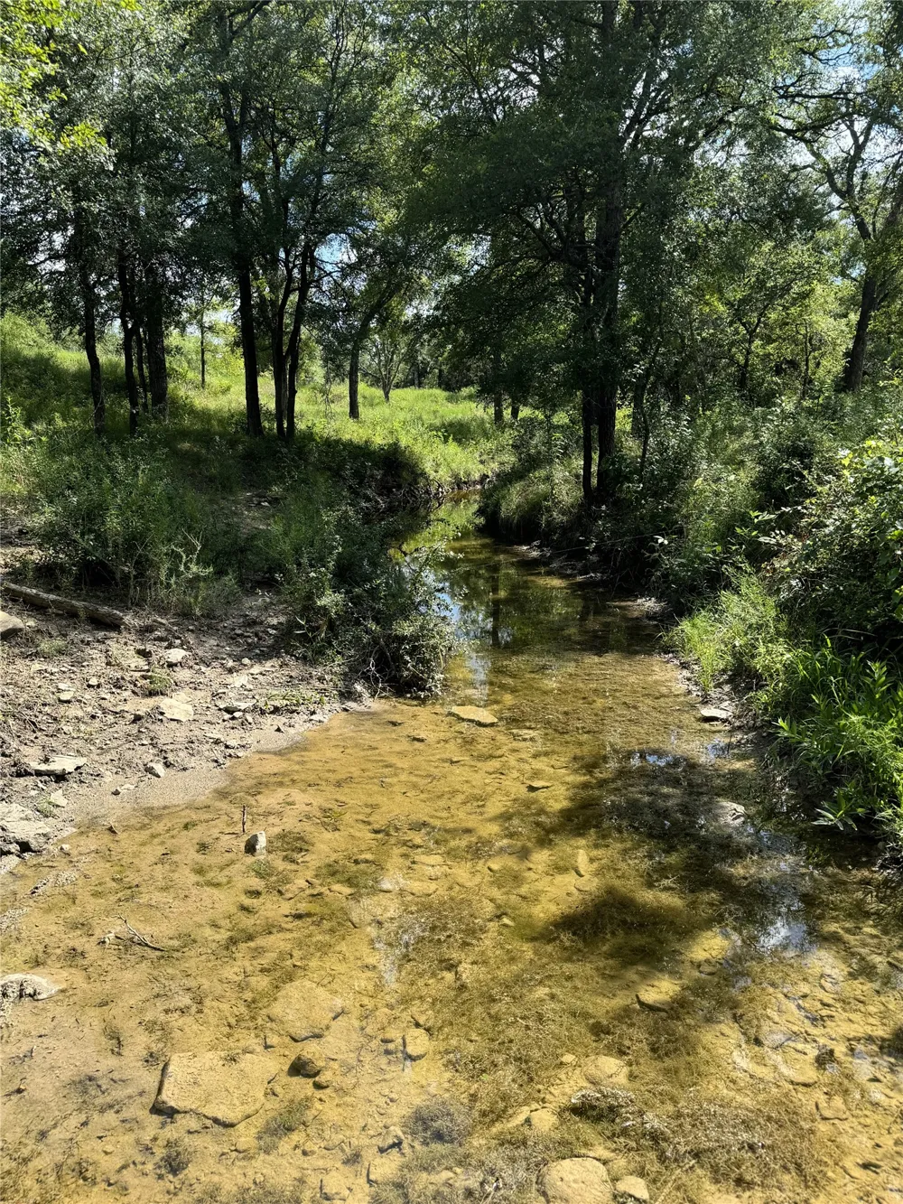 342 Tatanka Trail Gustine, TX 76455