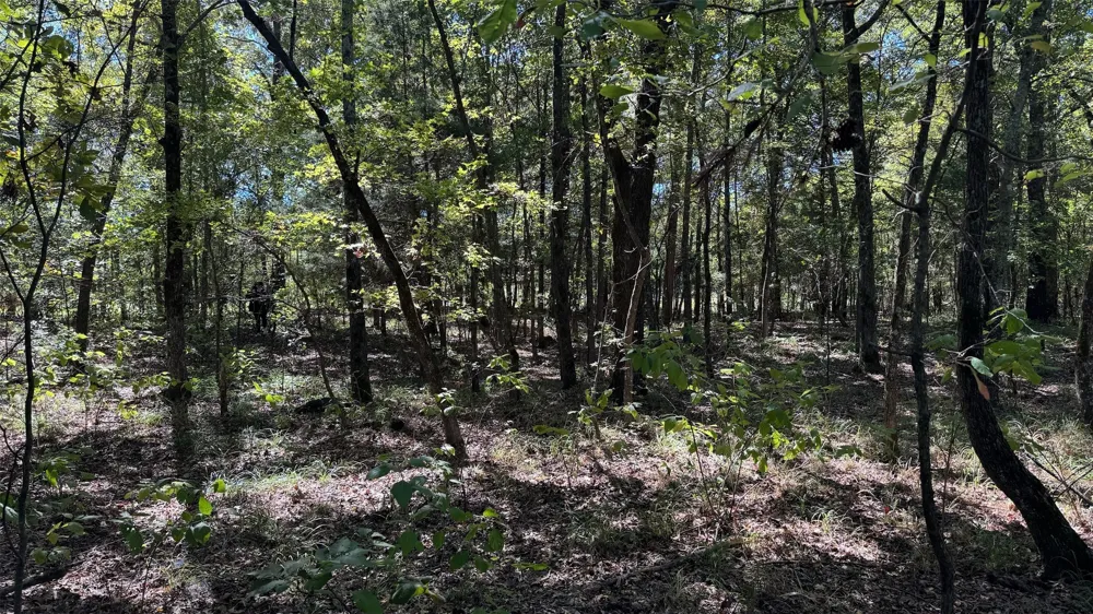 75 County Road 2115 Bagwell, TX 75412