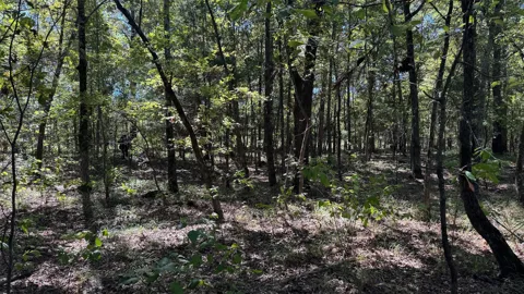 75 County Road 2115