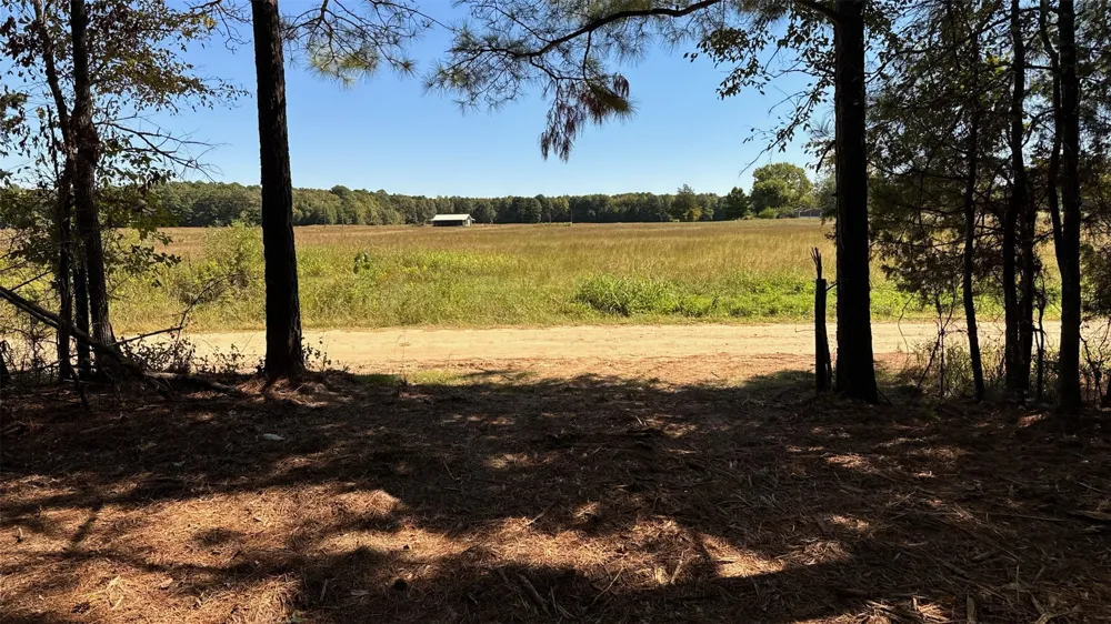 75 County Road 2115 Bagwell, TX 75412