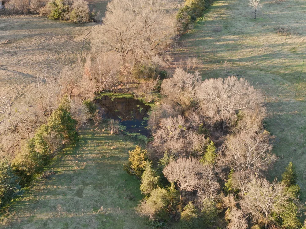 County Road 1468 Mt Pleasant, TX 75455