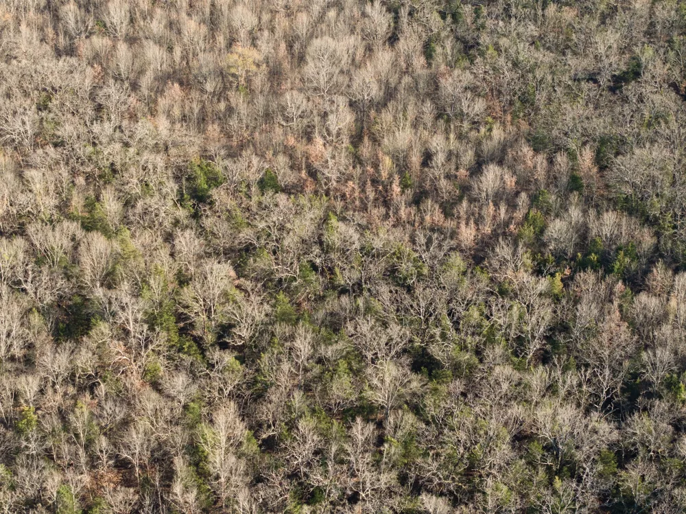 County Road 1468 Mt Pleasant, TX 75455