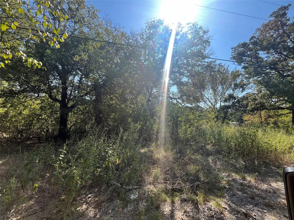 Pinewood Drive Hawk Cove, TX 75474
