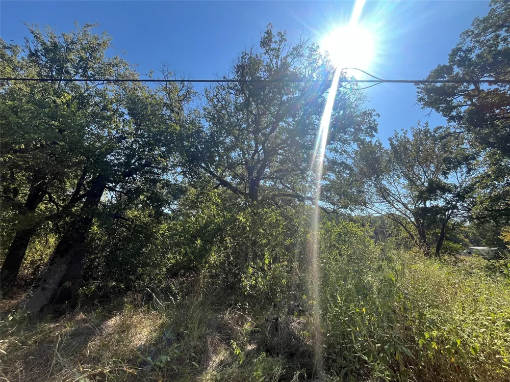 Pinewood Drive Hawk Cove, TX 75474