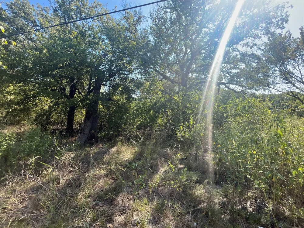 Pinewood Drive Hawk Cove, TX 75474