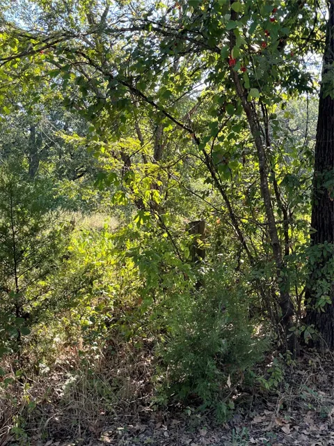 Pinewood Drive
