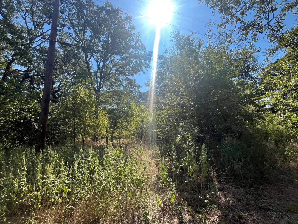 Pinewood Drive Hawk Cove, TX 75474