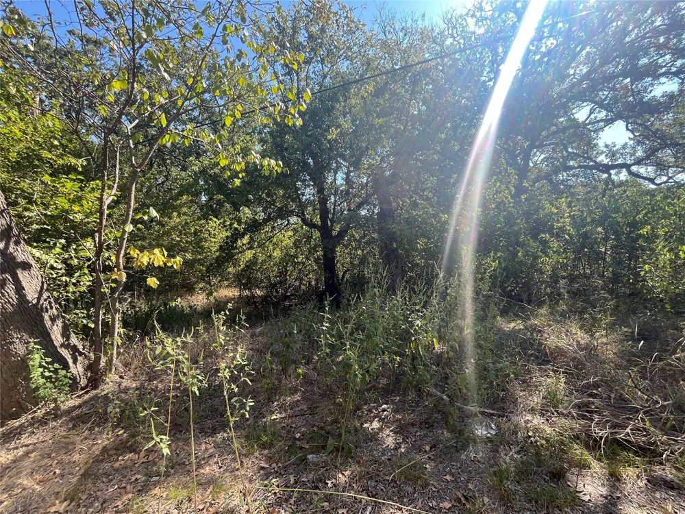 Pinewood Drive Hawk Cove, TX 75474