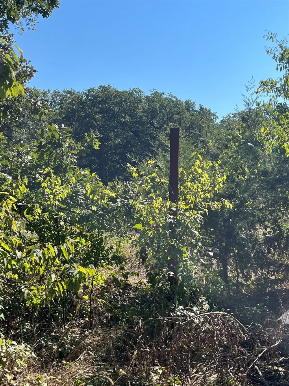 Pinewood Drive Hawk Cove, TX 75474
