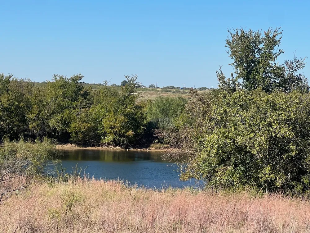Uselton Road Loving, TX 76460