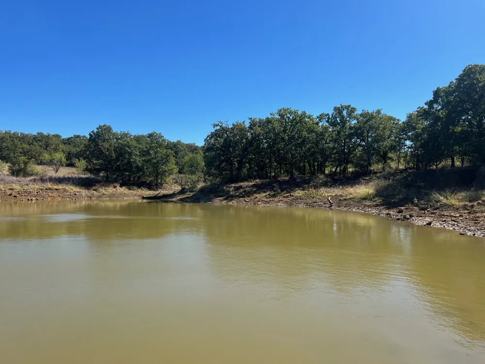 Uselton Road Loving, TX 76460
