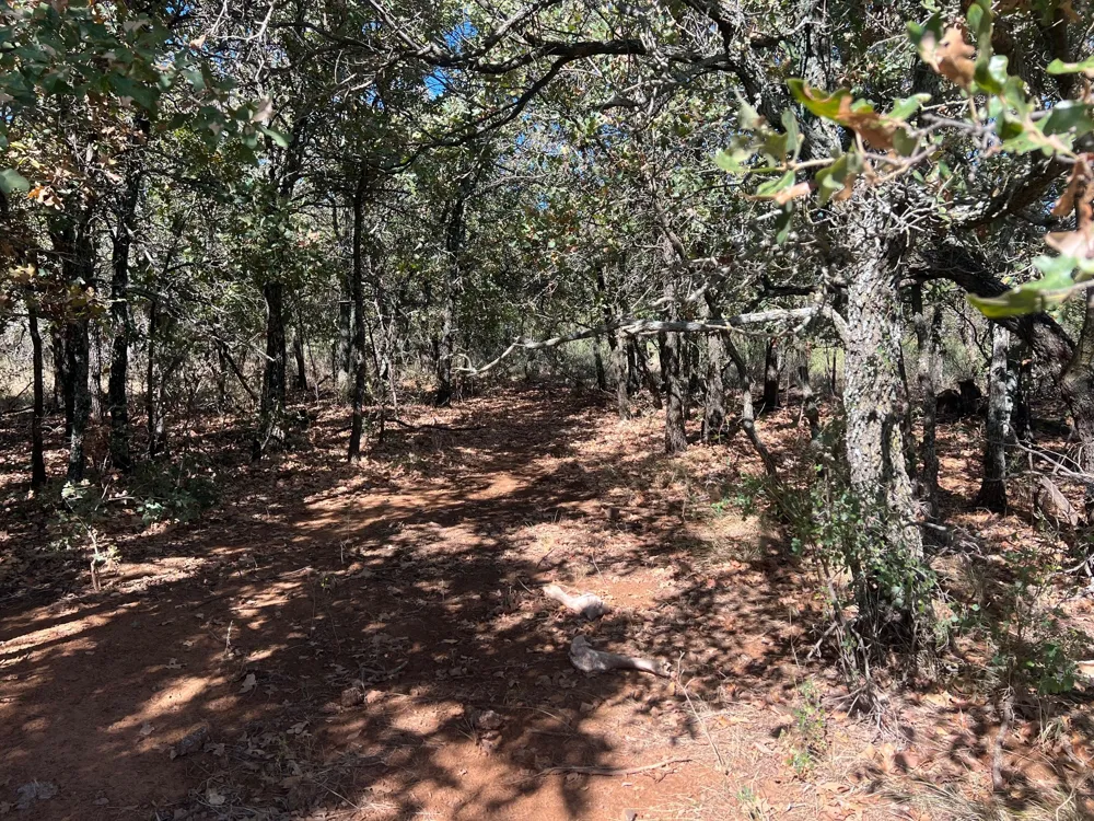 Uselton Road Loving, TX 76460