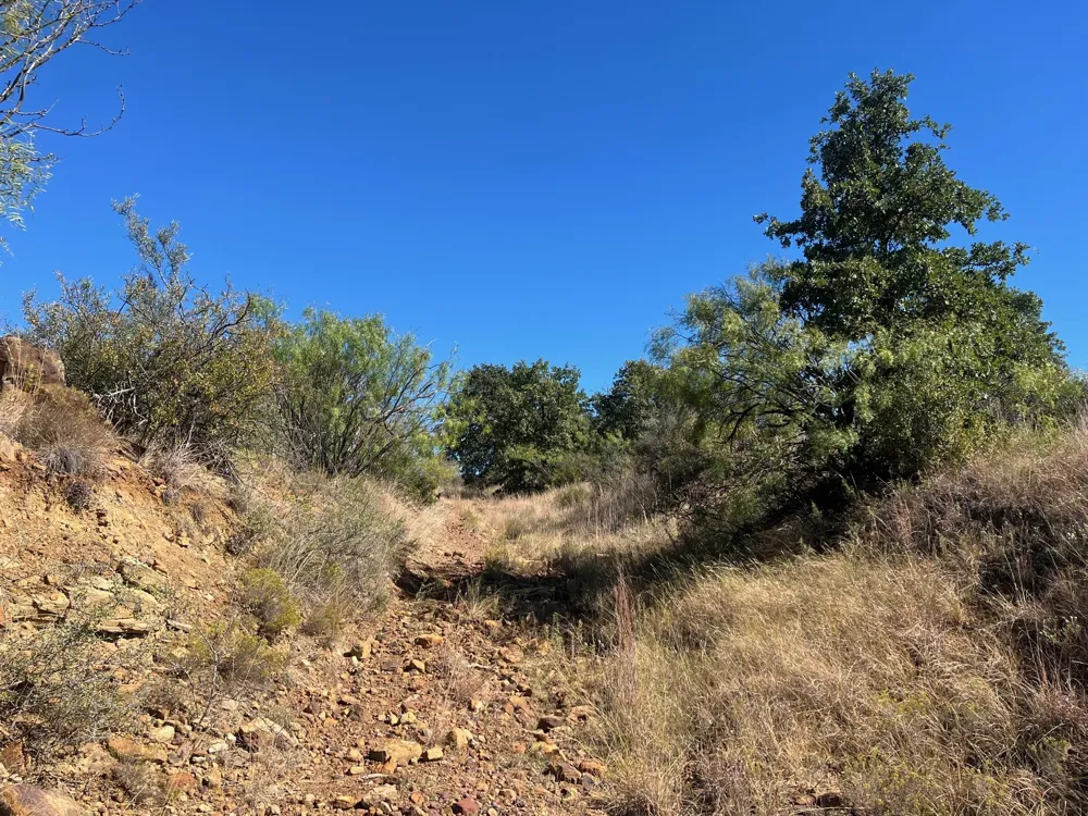 Uselton Road Loving, TX 76460