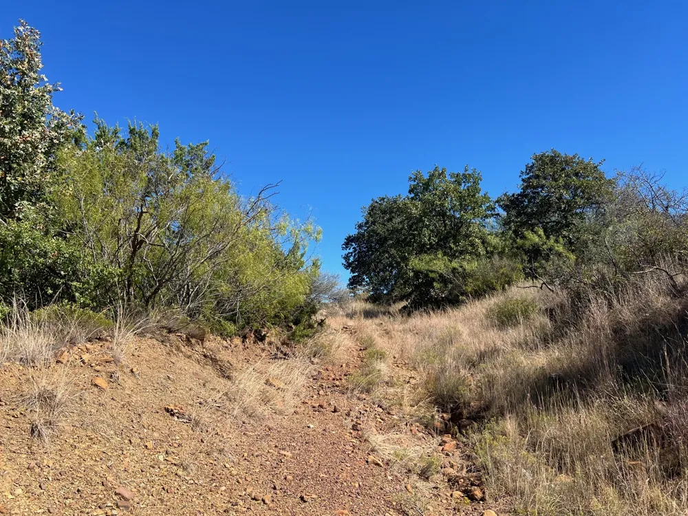 Uselton Road Loving, TX 76460