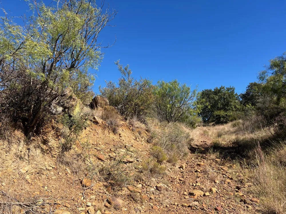 Uselton Road Loving, TX 76460