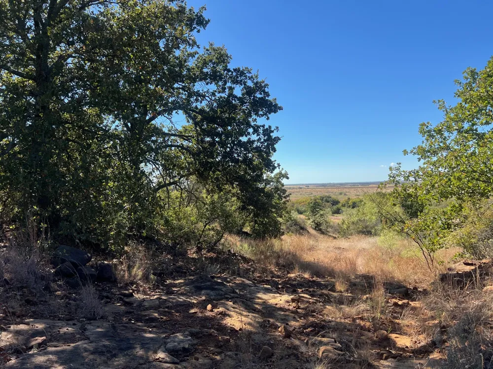 Uselton Road Loving, TX 76460