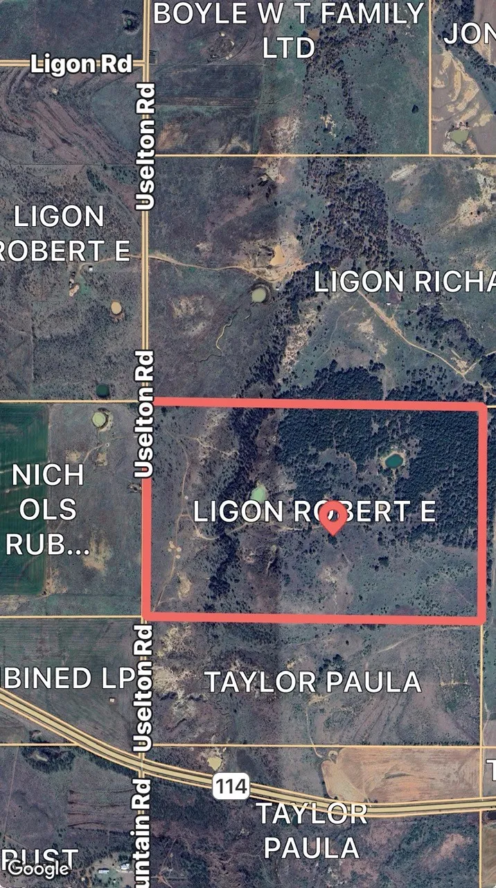 Uselton Road Loving, TX 76460