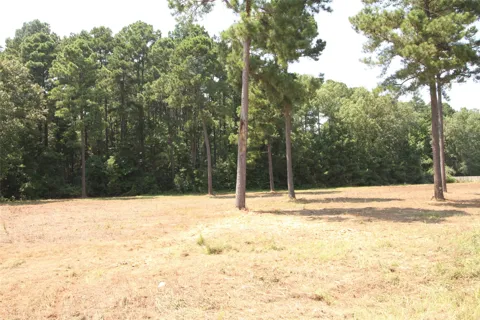 Peaceful Pines