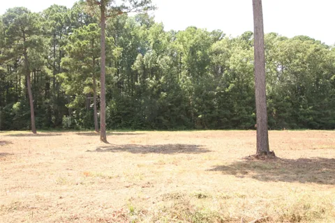 Peaceful Pines