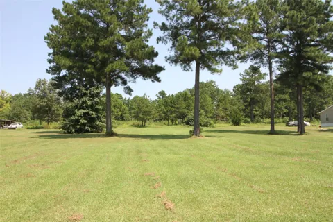 Peaceful Pines