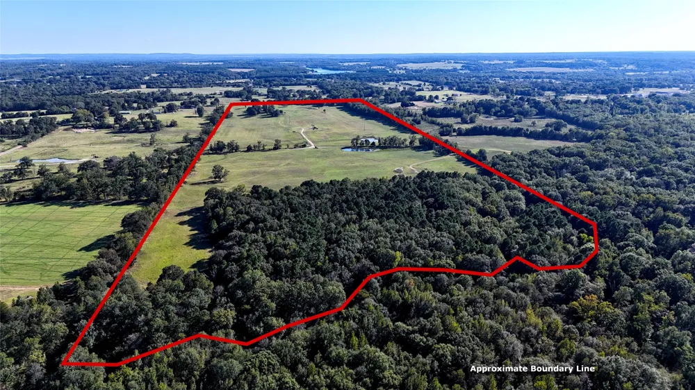 10769 County Road 3519 Murchison, TX 75778