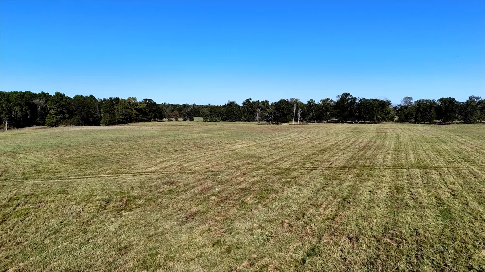 10769 County Road 3519 Murchison, TX 75778