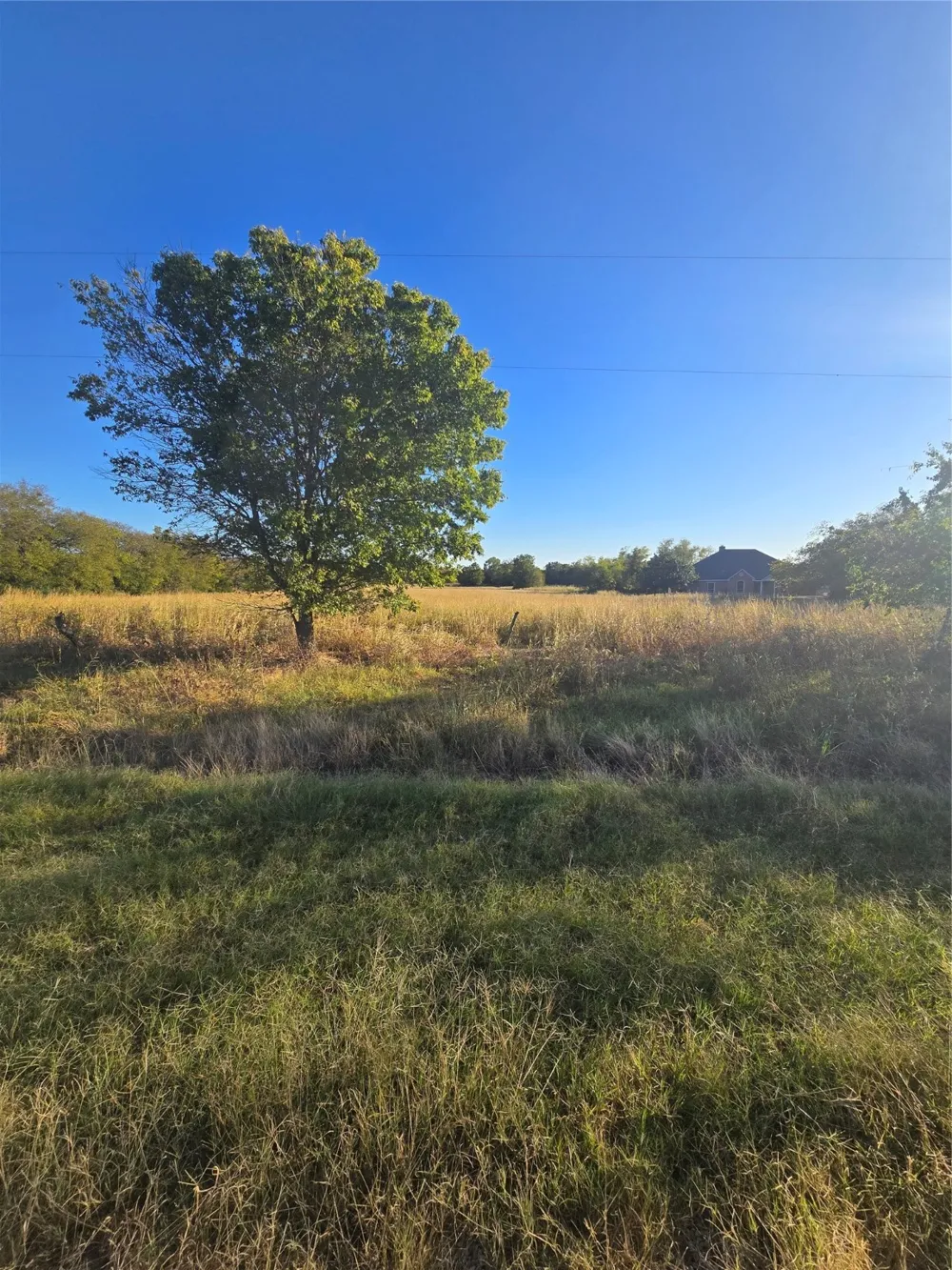 6559 FM 2068 Commerce, TX 75428