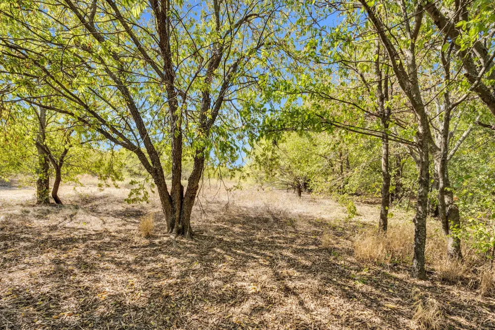 485 S Magnolia Street Crowley, TX 76036