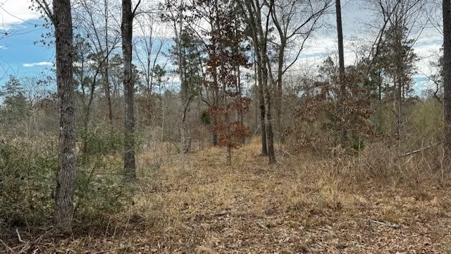 536 An County Road 1233 Palestine, TX 75801