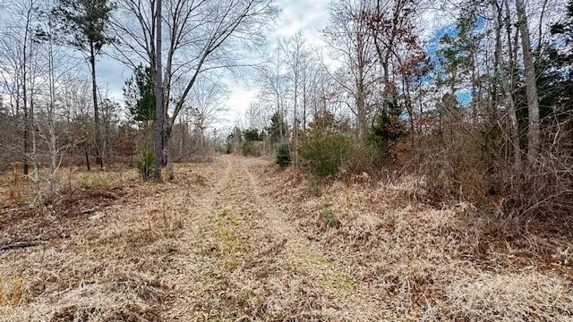 536 An County Road 1233 Palestine, TX 75801
