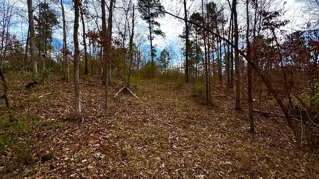 536 An County Road 1233 Palestine, TX 75801