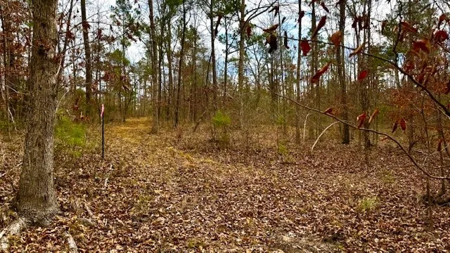 536 An County Road 1233 Palestine, TX 75801