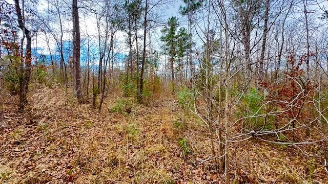 536 An County Road 1233 Palestine, TX 75801
