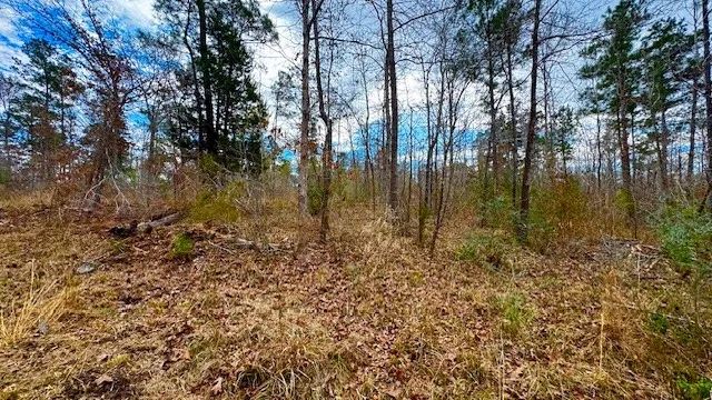 536 An County Road 1233 Palestine, TX 75801