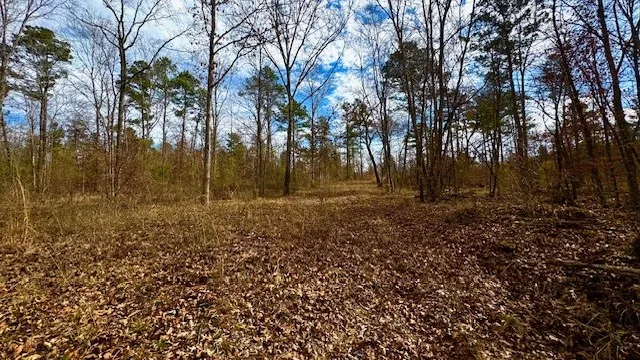 536 An County Road 1233 Palestine, TX 75801