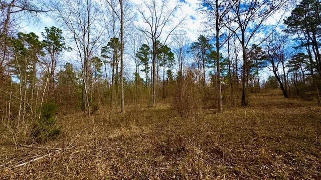 536 An County Road 1233 Palestine, TX 75801