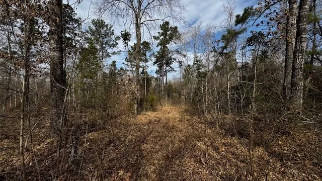 536 An County Road 1233 Palestine, TX 75801