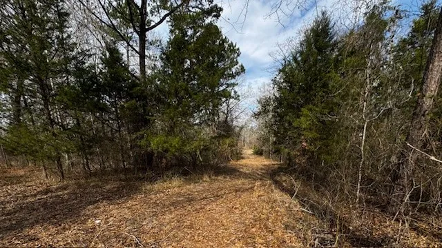 536 An County Road 1233 Palestine, TX 75801