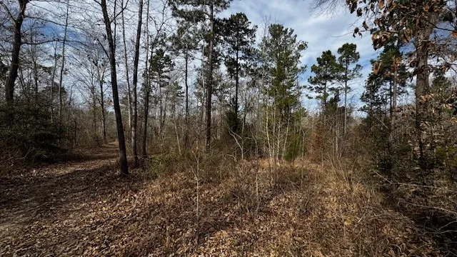 536 An County Road 1233 Palestine, TX 75801