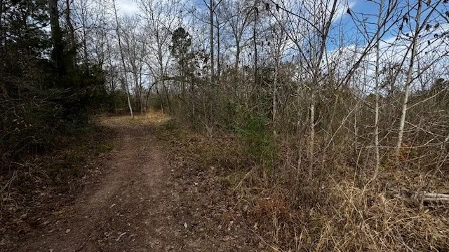536 An County Road 1233 Palestine, TX 75801