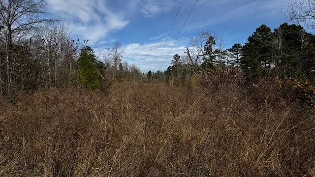536 An County Road 1233 Palestine, TX 75801