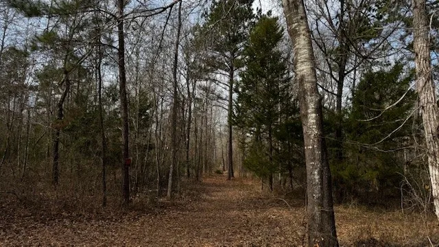 536 An County Road 1233 Palestine, TX 75801